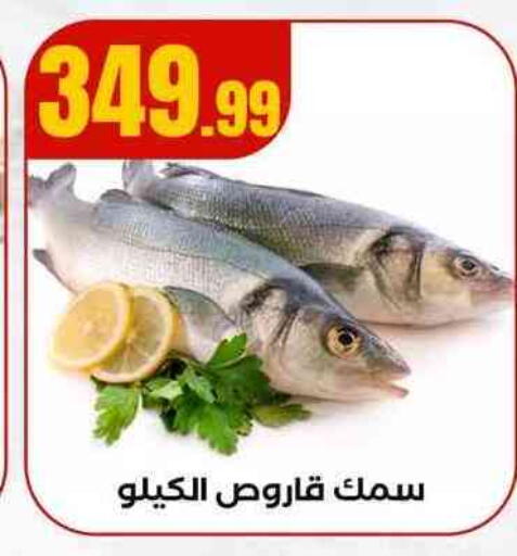 available at مارت فيل in Egypt - القاهرة