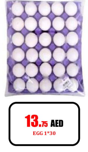 available at جفت داي هايبرماركت in الإمارات العربية المتحدة , الامارات - الشارقة / عجمان