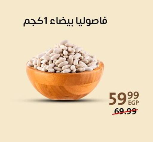 available at Arab DownTown in Egypt - Cairo