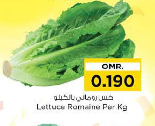 Lettuce available at Nesto Hyper Market   in Oman - Sohar