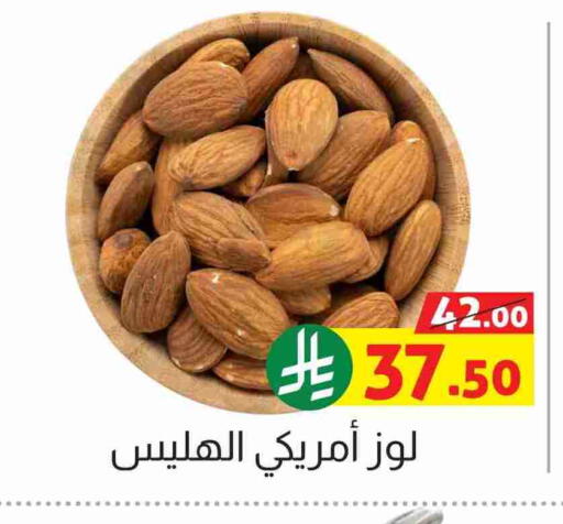 available at Offers Hall in KSA, Saudi Arabia, Saudi - Khamis Mushait