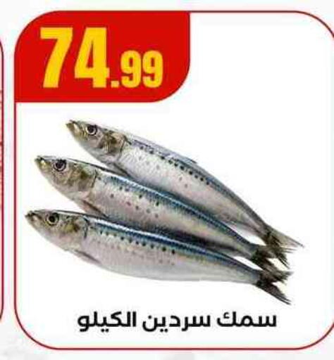 available at مارت فيل in Egypt - القاهرة