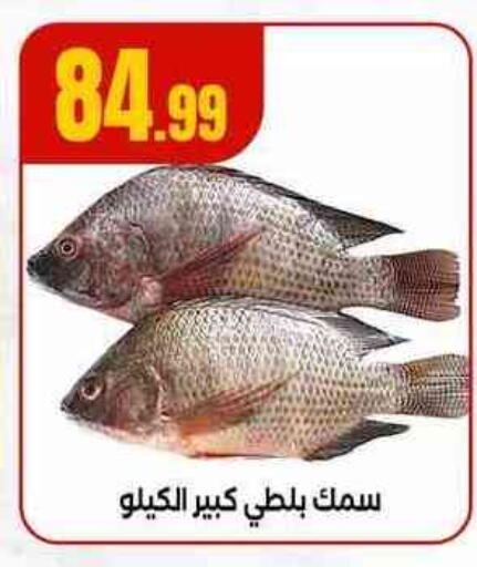 available at مارت فيل in Egypt - القاهرة