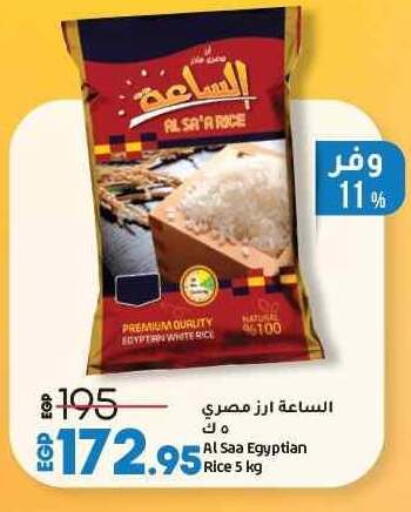 White Rice available at Lulu Hypermarket  in Egypt - Cairo
