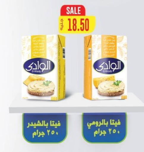 Feta available at El.Husseini supermarket  in Egypt - Cairo