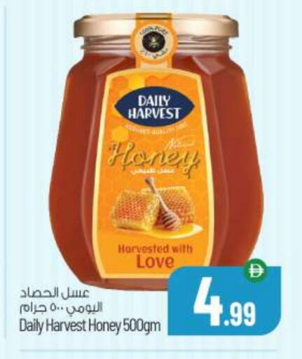 Honey available at BIGmart in UAE - Abu Dhabi