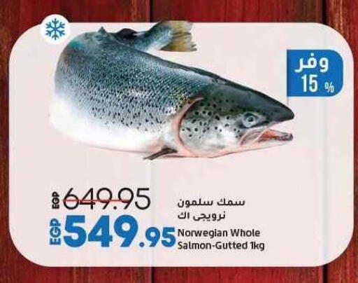 available at Lulu Hypermarket  in Egypt - Cairo