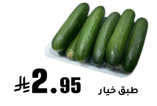 Cucumber available at Meem Market  in KSA, Saudi Arabia, Saudi - Al Hasa