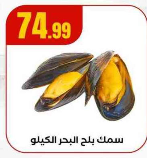 available at مارت فيل in Egypt - القاهرة