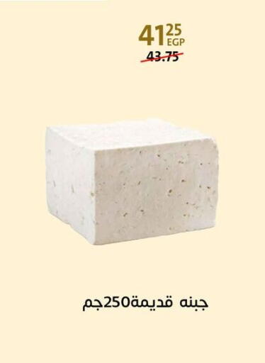 available at Arab DownTown in Egypt - Cairo