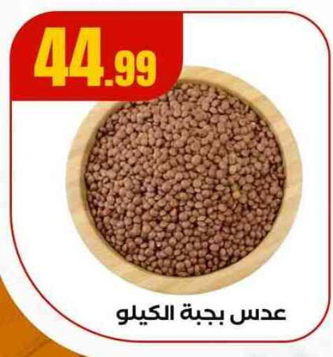 available at El Mahlawy Stores in Egypt - Cairo