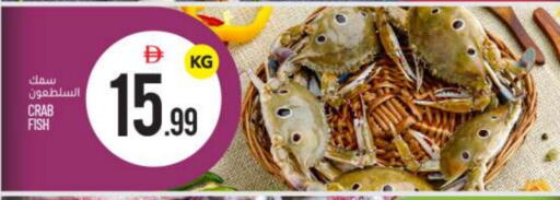 available at بيج مارت in الإمارات العربية المتحدة , الامارات - أبو ظبي