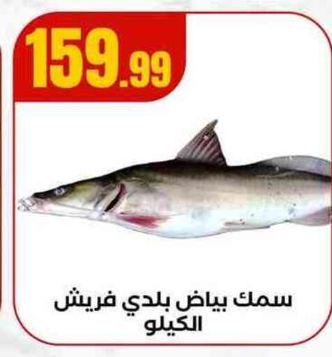 available at مارت فيل in Egypt - القاهرة