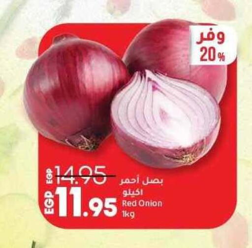بصل available at لولو هايبرماركت in Egypt - القاهرة