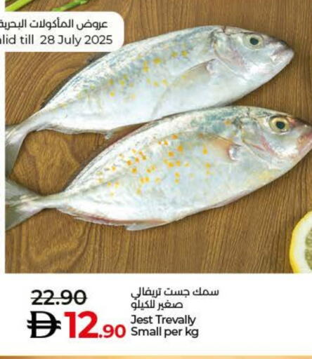 available at لولو هايبرماركت in الإمارات العربية المتحدة , الامارات - أم القيوين‎
