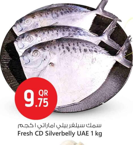 available at سفاري هايبر ماركت in قطر - الدوحة
