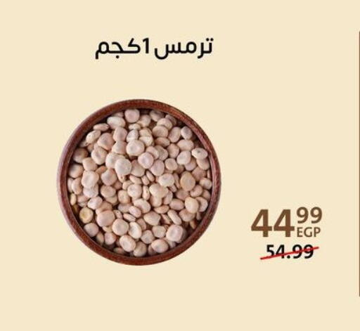 available at Arab DownTown in Egypt - Cairo