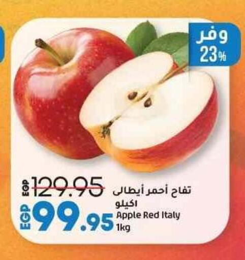 تفاح from Italy available at لولو هايبرماركت in Egypt - القاهرة