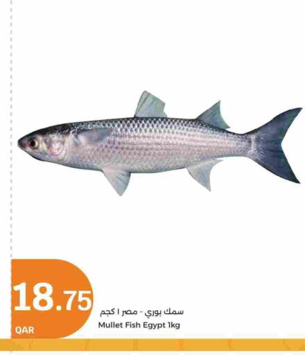 available at City Hypermarket in Qatar - Al Shamal