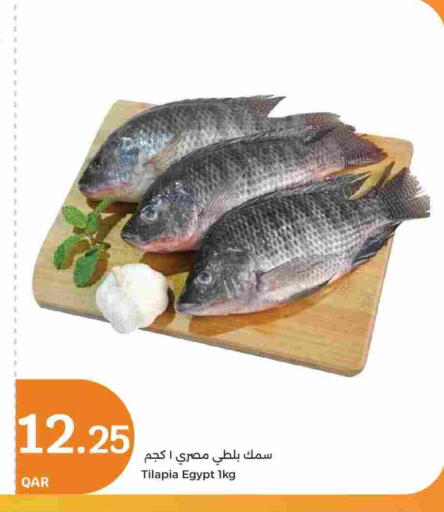 available at سيتي هايبرماركت in قطر - أم صلال
