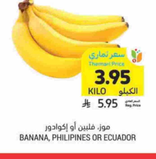 Banana from Ecuador available at Tamimi Market in KSA, Saudi Arabia, Saudi - Dammam