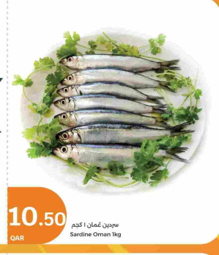 available at سيتي هايبرماركت in قطر - أم صلال
