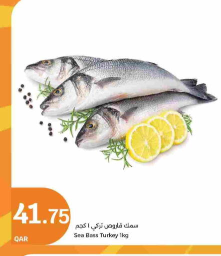 available at سيتي هايبرماركت in قطر - أم صلال