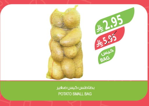 Potato available at Farm  in KSA, Saudi Arabia, Saudi - Abha