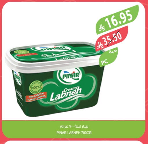 PINAR Labneh available at Farm  in KSA, Saudi Arabia, Saudi - Hafar Al Batin