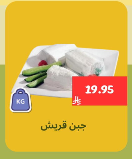 available at Mahasen Central Markets in KSA, Saudi Arabia, Saudi - Al Hasa