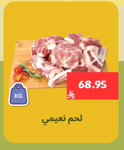 available at Mahasen Central Markets in KSA, Saudi Arabia, Saudi - Al Hasa