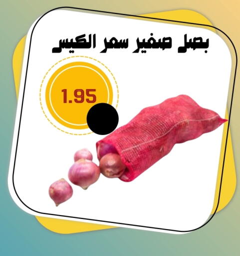 Onion available at Bin Jahlan Markets in KSA, Saudi Arabia, Saudi - Tabuk