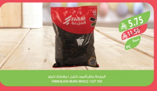available at Farm  in KSA, Saudi Arabia, Saudi - Arar