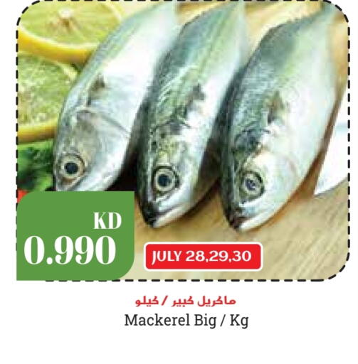 available at Grand Hyper in Kuwait - Kuwait City
