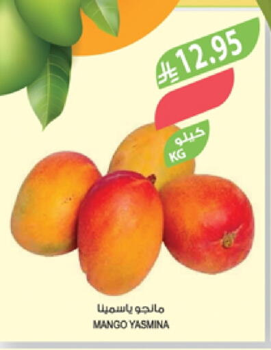 Mangoes available at Farm  in KSA, Saudi Arabia, Saudi - Khafji