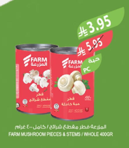Mushroom available at Farm  in KSA, Saudi Arabia, Saudi - Saihat
