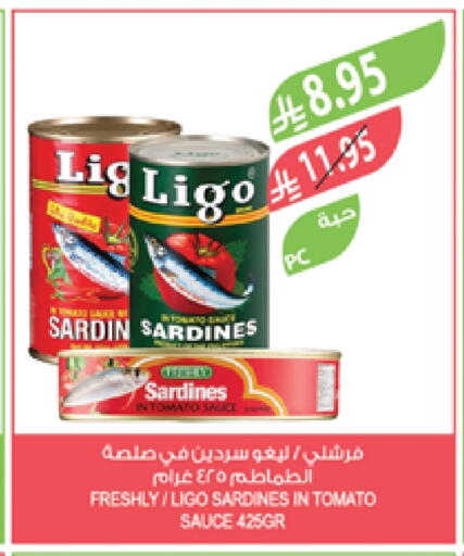 FRESHLY Sardines - Canned available at Farm  in KSA, Saudi Arabia, Saudi - Al Bahah