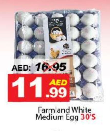 available at DESERT FRESH MARKET  in UAE - Abu Dhabi
