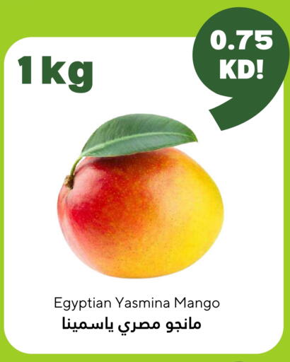 Mangoes from Egypt available at Taw9eel.com in Kuwait - Kuwait City