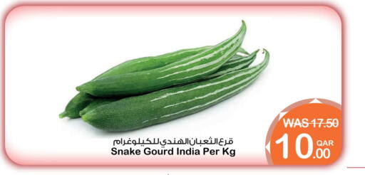 Gourd from India available at Megamart in Qatar - Al Rayyan