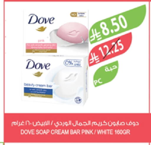 DOVE available at Farm  in KSA, Saudi Arabia, Saudi - Al Khobar