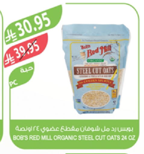Oats available at Farm  in KSA, Saudi Arabia, Saudi - Al-Kharj
