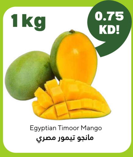Mangoes from Egypt available at Taw9eel.com in Kuwait - Kuwait City