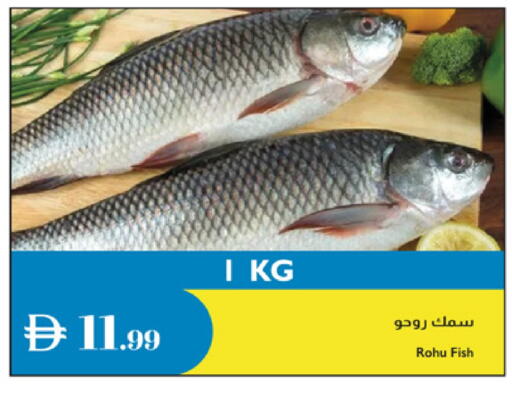 available at Istanbul Supermarket in UAE - Abu Dhabi