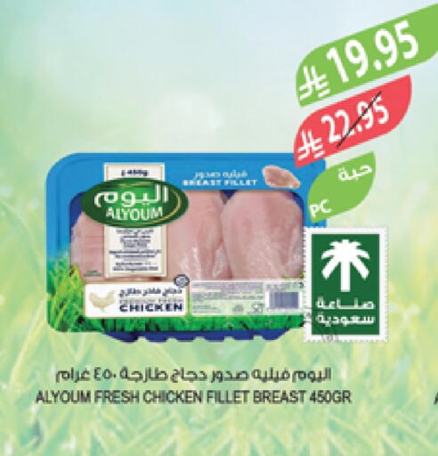 Chicken Breast available at Farm  in KSA, Saudi Arabia, Saudi - Sakaka