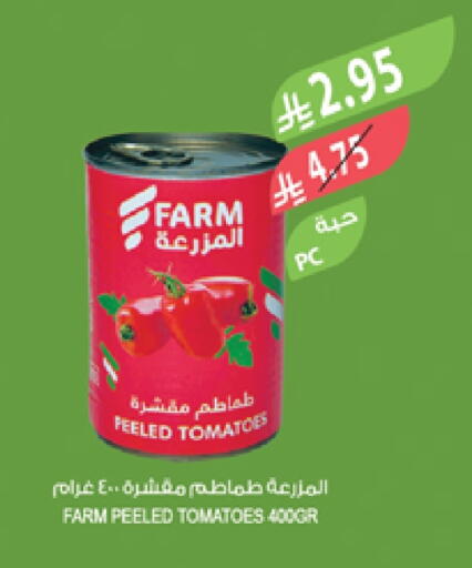 Tomato available at Farm  in KSA, Saudi Arabia, Saudi - Saihat