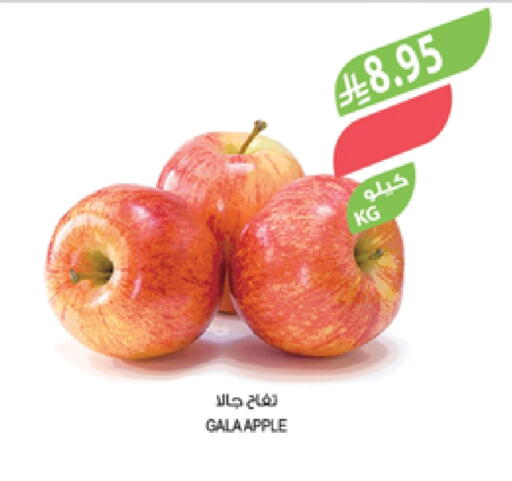 Apples available at Farm  in KSA, Saudi Arabia, Saudi - Khafji