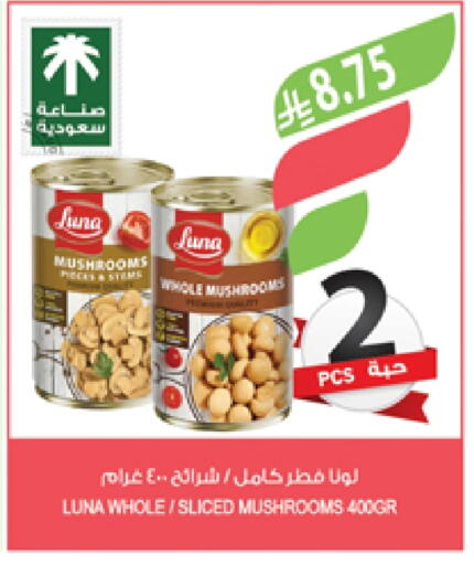 LUNA available at Farm  in KSA, Saudi Arabia, Saudi - Sakaka