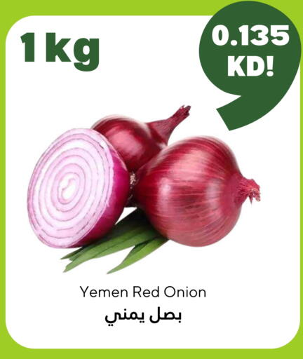 Onion from Yemen available at Taw9eel.com in Kuwait - Ahmadi Governorate