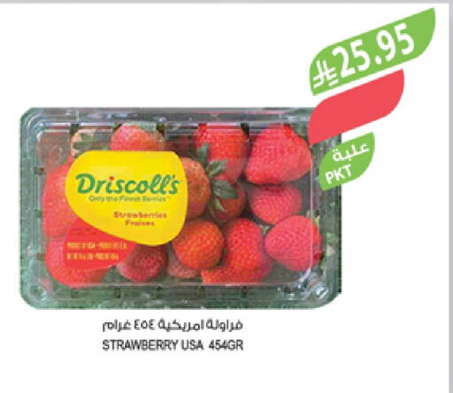توت available at المزرعة in مملكة العربية السعودية, السعودية, سعودية - عرعر
